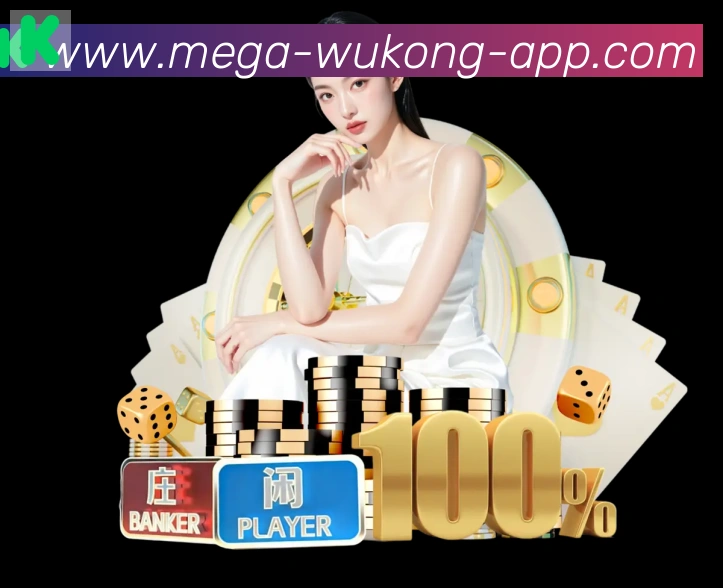 未来规划